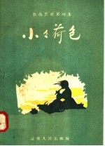 云南民歌 第4集 小小荷包
