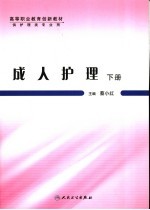 成人护理 下