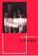 化学实验册 第2册