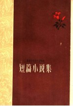 短篇小说集