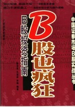 B股也疯狂 B股投资指南