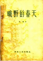 旷野的春天 小说