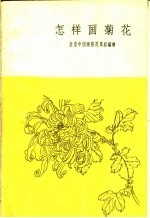 怎样画菊花