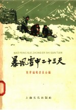 暴风雪中二十三天