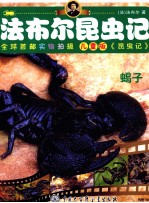 法布尔昆虫记 蝎子 儿童版