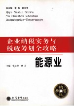 企业纳税实务与税收筹划全攻略 能源业