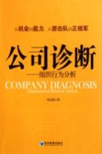 公司诊断 组织行为分析