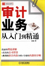 审计业务从入门到精通