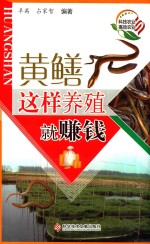 黄鳝这样养殖就赚钱
