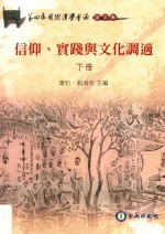 信仰、实践与文化调适 下