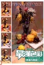 最强色彩 色彩静物?强化篇 色稿与塑造
