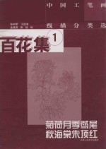 中国工笔画线描分类选 百花集 1 菊荷月季鸢尾秋海棠朱顶红
