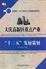 大庆高新区重点产业“十二五”发展策划 下