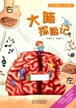 会讲故事的人体科普书 大脑探险记