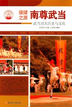 南尊武当 武当功夫历史与文化 四色彩图版