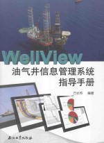 WellView油气井信息管理系统指导手册