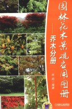 园林花木景观应用图册 乔木分册