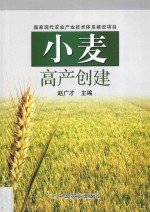 小麦高产创建