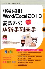非常实用！Word/Excel 2013高效办公从新手到高手 全彩图解视频版