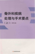 骨外科疾病处理与手术要点 上