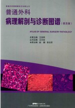 普通外科病理解剖与诊断图谱 普及版