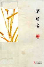 茅盾小说 名家小说典藏