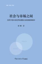 社会与市场之间 改革开放以来民营电视剧企业的演展和趋向