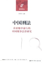 中国刑法 在祛魅中前行的中国刑事法律研究
