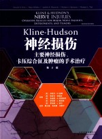 KLINE-HUDSON神经损伤 主要神经损伤、卡压综合征及肿瘤的手术治疗 第2版