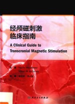 经颅磁刺激临床指南 翻译版