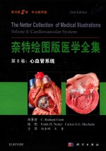 奈特绘图版医学全集 第8卷 心血管系统 原书第2版