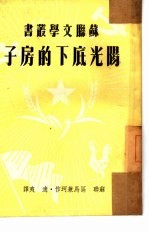 阳光底下的房子