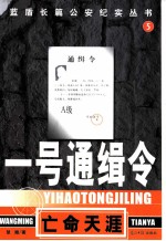 一号通缉令 亡命天涯