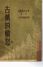 古镇的愤怒