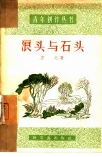浪头与石头