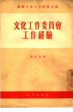 文化工作委员会工作经验