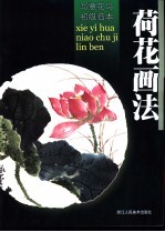 荷花画法