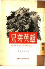 兄弟英雄 易格纳托夫兄弟的战斗生活