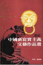 中国新写实主义文艺作品选 续编