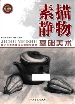 基础美术 素描静物 最新版