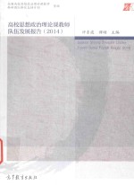 高校思想政治理论理论课教师队伍发展报告 2014版