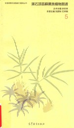 黑石顶苔藓蕨类植物图谱 5