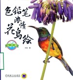 色铅笔浓情花鸟绘 非洲篇