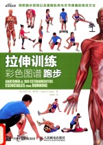 拉伸训练彩色图谱 跑步
