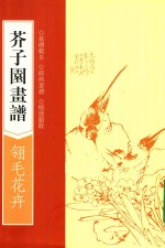 芥子园画谱 翎毛花卉