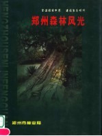 郑州森林风光