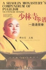 少林寺拳谱 一路通臂拳