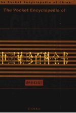 中国袖珍百科全书 现代技术及其它