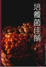 培养菌佳肴