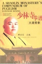少林寺拳谱 大通臂拳